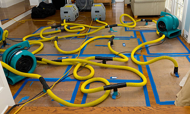 Professional Emergency Water Removal technician working in Los Alamos, CA